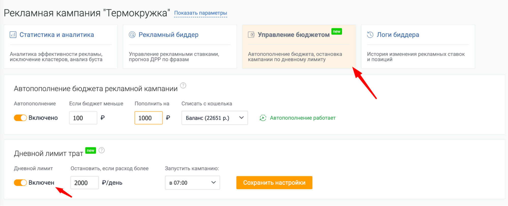 Настройка дневного лимита трат в интерфейсе PromoPult